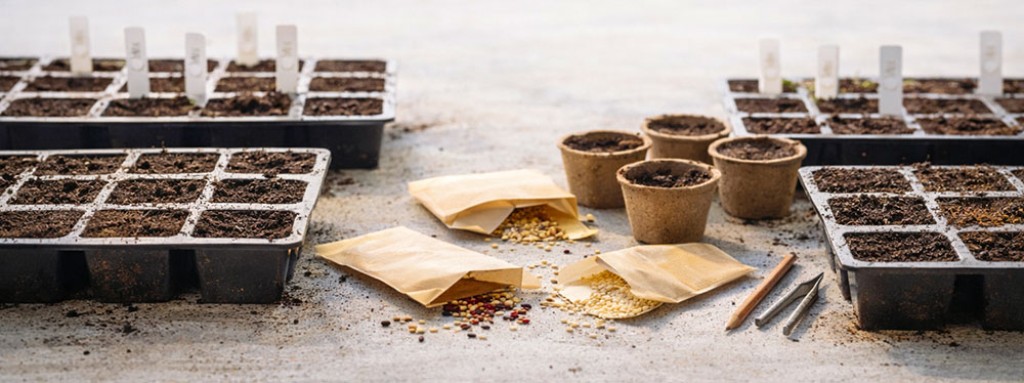 Waarom zaden soms niet kiemen