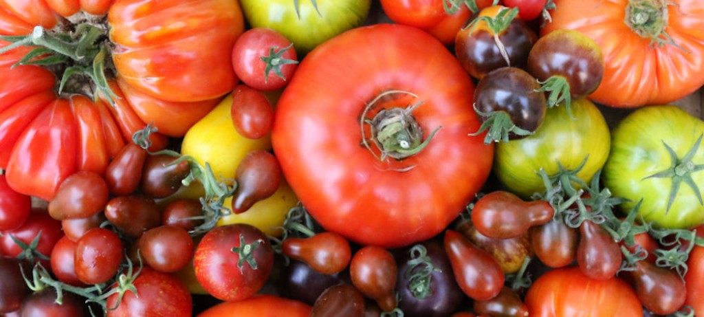 Tomaten lekker, veelzijdig en gezond